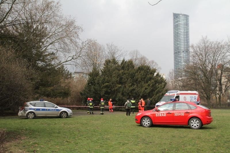 Wrocław: Samobójstwo na rondzie Powstańców Śląskich. Mężczyzna powiesił się na drzewie