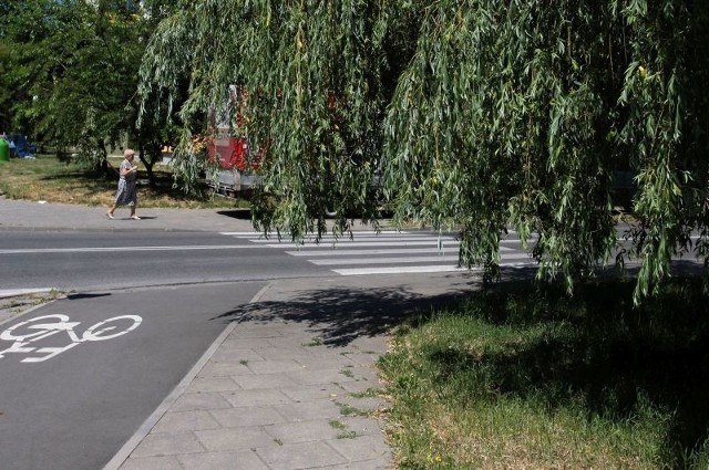 Gałęzie wierzby u zbiegu ulic Szklanej i Olsztyńskiej w Radomiu sięgają ziemi. Przechodnie i rowerzyści musza schylać się by pokonać ten fragment drogi.