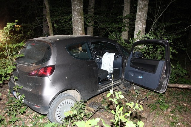 Białowieża. Wypadek mitsubishi. Kierowca nie miał zapiętych pasów (zdjęcia)
