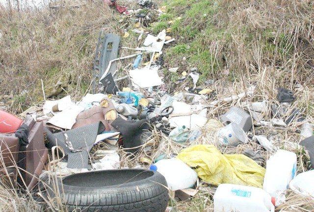 Odpady zalegają za garażami w pobliżu pętli autobusowej na Rządzu