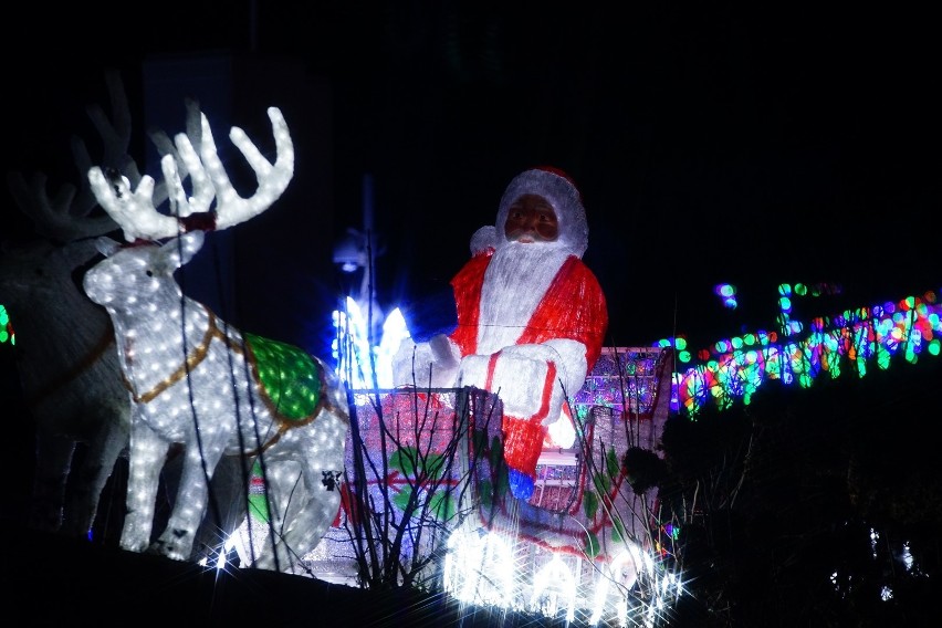 DELI Park w Rosnówku: Przenieś sie do Świątecznej Krainy!