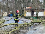 Nadia nie odpuszcza. Wciąż trudna sytuacja w regionie. Wiatr czyni dalsze spustoszenia ZDJĘCIA 