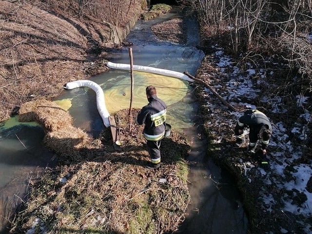 Do zanieczyszczenia potoku Sienka doszło w niedzielę 21 lutego.Zobacz kolejne zdjęcia. Przesuwaj zdjęcia w prawo - naciśnij strzałkę lub przycisk NASTĘPNE