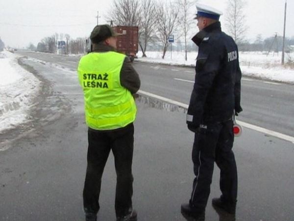 Działania lęborskiej policji, ITD i straży leśnej.