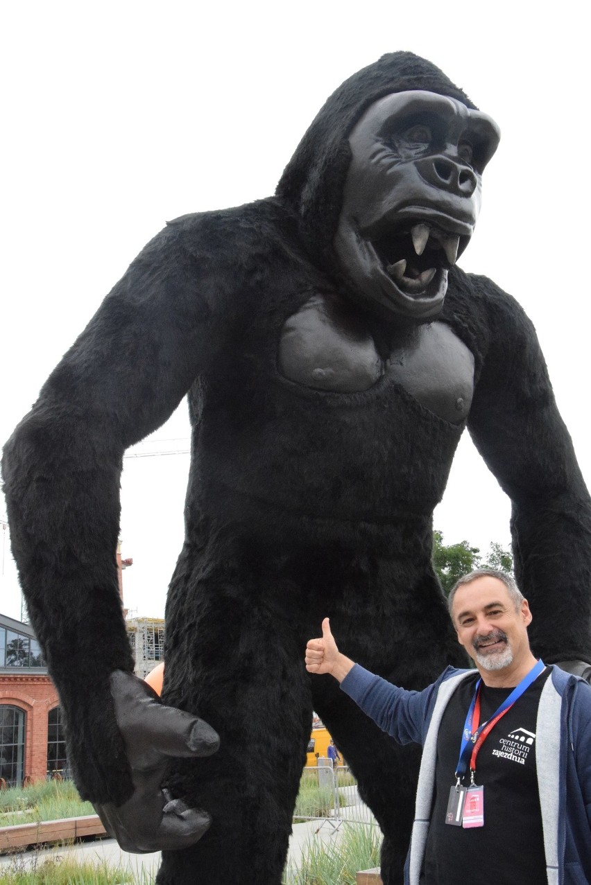 King Kong i piknik polsko-amerykański pod Centrum Historii Zajezdni 