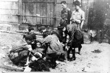 Kobiety w powstaniu warszawskim. Tak zasłużyły się polskie działaczki w sierpniu 1944 roku