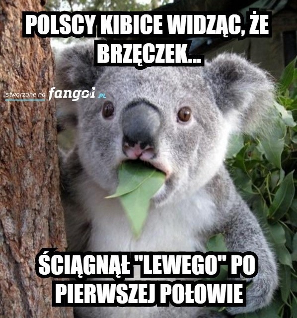 Memy po meczu reprezentacji Polska - Holandia