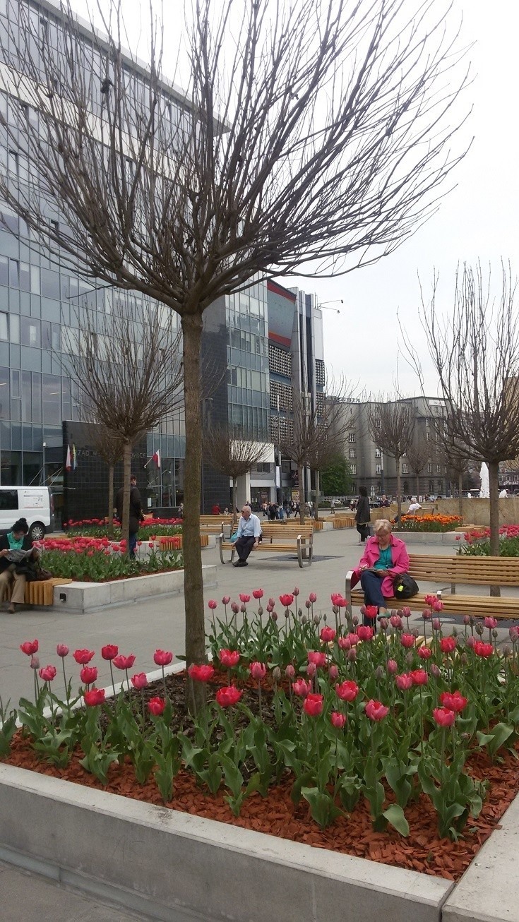 Plac Kwiatowy na Rynku w Katowicach