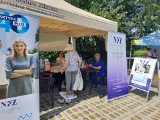 Piknik zdrowotny na nadwiślańskim bulwarze w Sandomierzu. Specjaliści dają cenne rady (ZDJĘCIA)