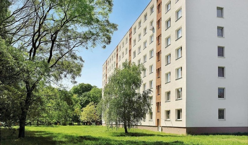 Jak zmieniała się liczba mieszkań w Koszalinie na...