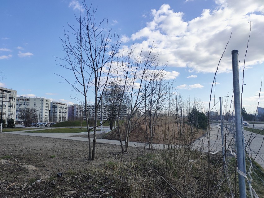 Kraków. Park w Czyżynach prawie gotowy. Mieszkańcy w końcu będą mieli trochę zieleni pod oknami [NOWE ZDJĘCIA]