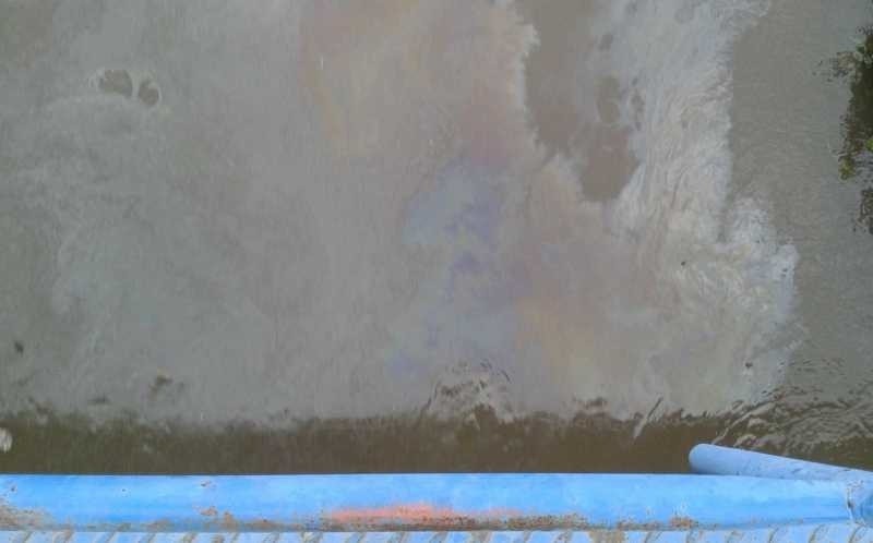 Plama ropy w rzece Mlecznej w Radomiu. Skąd się wzięła? (zdjęcia)
