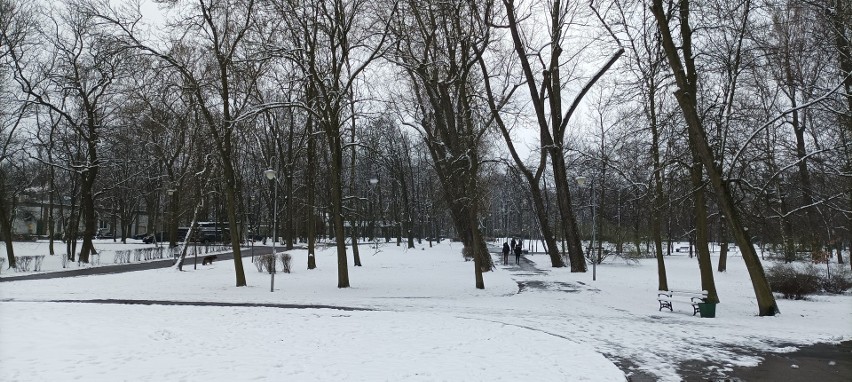 Pod śnieżną pierzynką Park Kościuszki potrafi zachwycić....