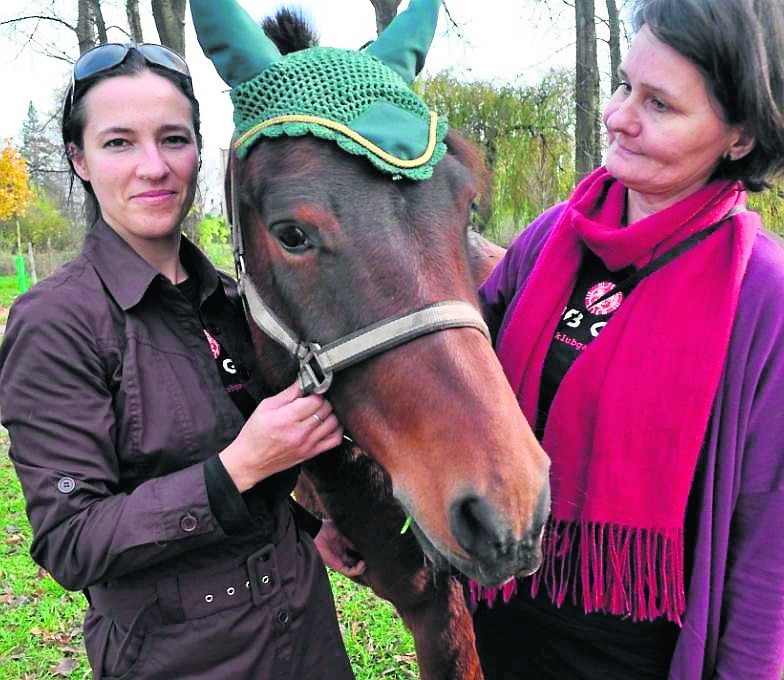 Ogórek terapeuta. Konie utratowane przed ubojem pomaga w rehabilitacji dzieci 