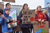 Earth Strike, czyli strajk dla klimatu na rynku w Katowicach ZDJĘCIA