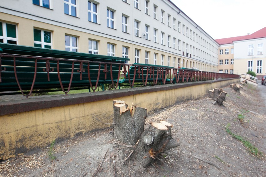 Duża wycinka drzew przy ulicy Towarnickiego w Rzeszowie....