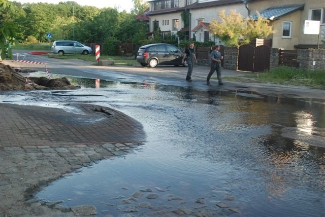 Dąbie zalane...