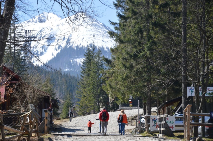 Zakopane. Coraz więcej turystów. Tłumy w Kuźnicach [ZDJĘCIA]