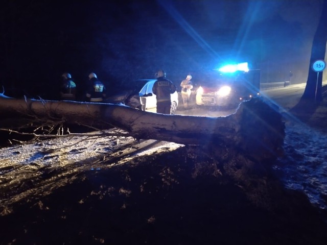 Strażacy usunęli powalone drzewo z jezdni i przepchnęli rozbity pojazd poza drogę powiatową.