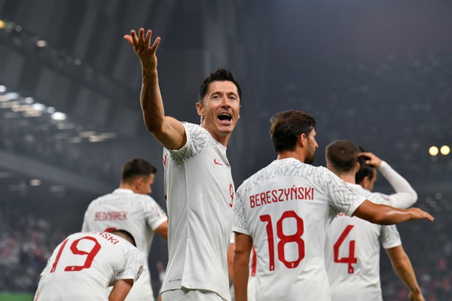 Fot. Mecz Polska - Albania