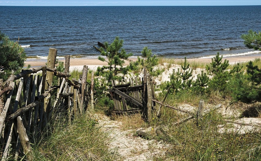 Planujesz urlop nad Bałtykiem? Zobacz, które plaże są w tym...
