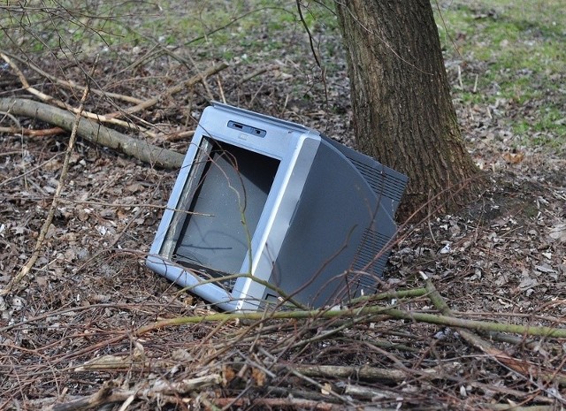 Spacerujący po terenach zielonych nad Wisłą w Tarnobrzegu ze smutkiem patrzą na kilogramy śmieci, wśród których można się natknąć na zniszczony telewizor.