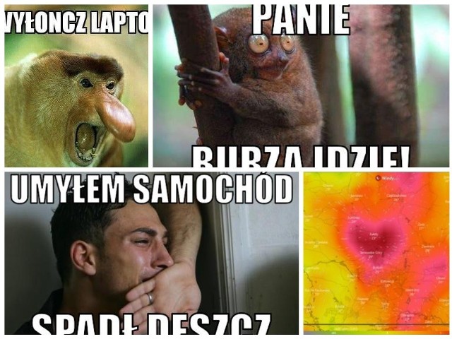 Najlepsze memy o burzach 2020. Najpierw upały, potem burze. I tak na zmianę. Ostatnio w ten spos&oacute;b wygląda większość prognoz dla Polski. Zobaczcie, jak z reakcji na burze śmieją się internauci.