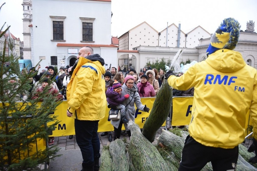 Darmowe choinki na Starym Rynku w Poznaniu. Tłumy...