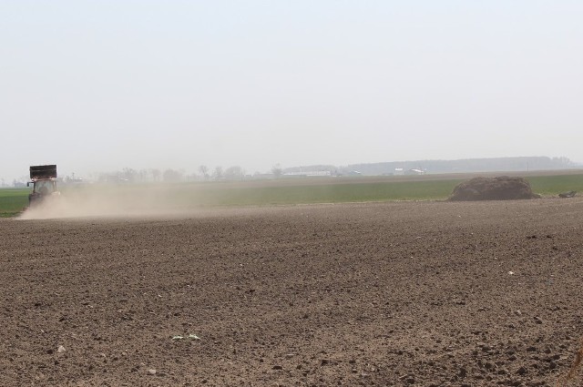 Susza 2019 - Mazowsze. Rolnicy z północnego Mazowsza martwią się o plony
