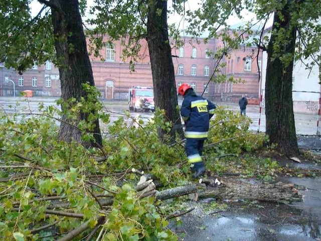 Jedno z połamanych drzew ełccy strażacy usuwali z boiska przy Szkole Podstawowej nr 2 w centrum miasta.