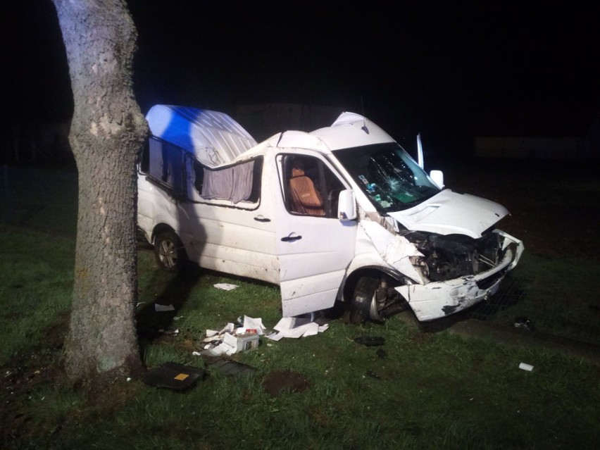 Niepołomice. Bus uderzył w drzewo. Dwie osoby poszkodowane