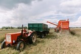 Podlaskie. Jak wygląda sytuacja rolników przy granicy polsko-białoruskiej? 