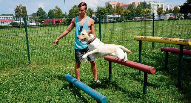Krakowianie chętnie zabierają swoje psy na teren wybiegu w parku Krowoderskim