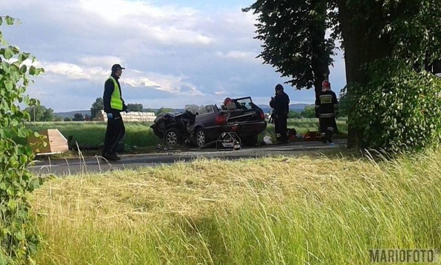 Kierowca audi uderzył w drzewo.