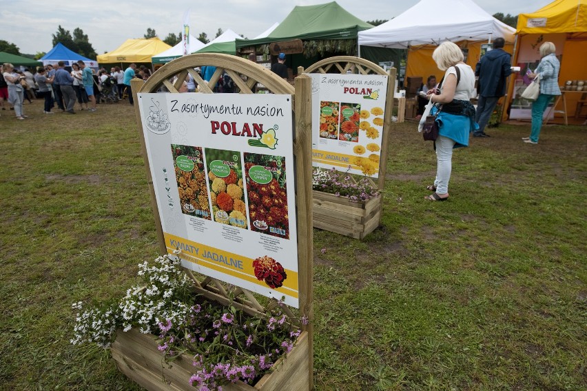 Podczas minionego weekendu w ogrodach Hortulus w Dobrzycy...