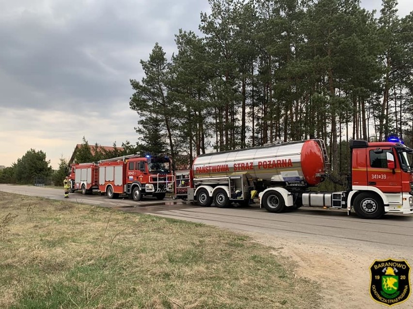 Nakły. Pożar lasu. Spłonęły ponad dwa hektary. Pożar wybuchł 28.04.2020. Zdjęcia