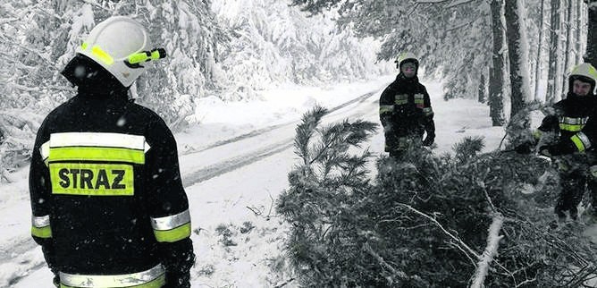 Niegowa, powiat myszkowski. Strażacy usuwają powalone drzewa