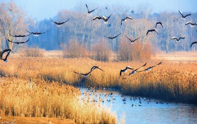 Jedna z  fotografii nagrodzona w poprzedniej  edycji konkursu