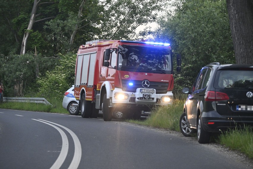 Tragedia nad jeziorem w powiecie świeckim. Utonął młody mężczyzna [zdjęcia]