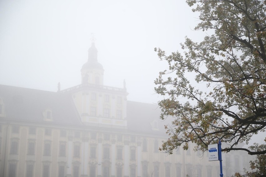 Mgła we Wrocławiu - jest ostrzeżenie. Będzie fatalna widoczność i szadź