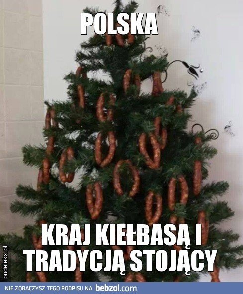 Najdziwniejsze i najśmieszniejsze choinki na Boże Narodzenie [ZOBACZ  ZDJĘCIA] | Gazeta Wrocławska