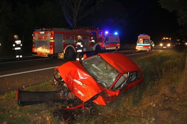 Dwie osoby ranne i rozbity samochód, to efekt nocnego wypadku w Dąbrowie. Kierowca chciał ominąć dzika, uderzył w drzewo.