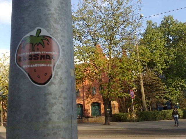 Guerilla marketing dociera też do Torunia