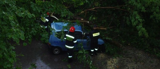 Seicento zostało przywalone przez drzewo