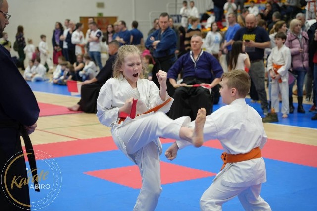 Reprezentanci ABiRO Zielona Góra zdobyli we Wrocławiu 27 medali.