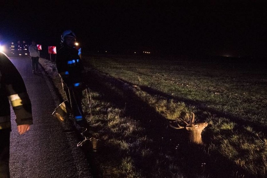 Groźny wypadek na drodze między Święciechową a Gołanicami w...