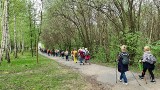 PTTK zaprasza na wycieczki. Nie siedź w domu! Poznaj lepiej okolice Krakowa