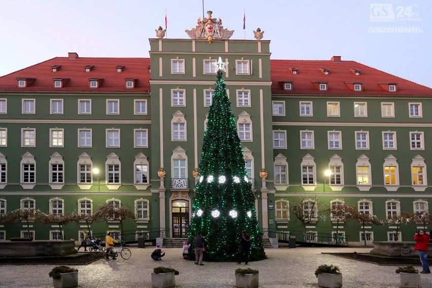 Mierzy 12 metrów i waży prawie półtorej tony. Świąteczna...