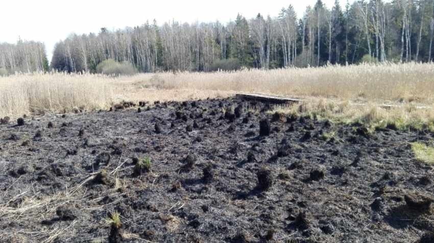 Akcja gaszenia pożaru na polsko-białoruskiej granicy