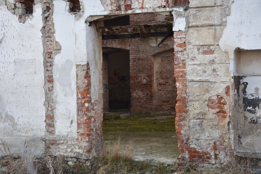 Ruiny młynu Szancera od wielu lat nie mogą doczekać się...